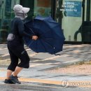 강풍 이미지
