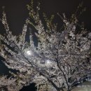 대부도문씨네 이미지