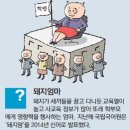 돼지엄마 이미지