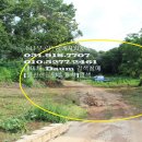 전원애견 이미지