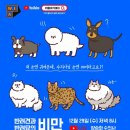 닥터펫동물의료센터 이미지