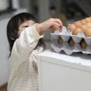 리치솔루션 | 맥반석계란 에그앤리치 구운계란 아이간식 후기