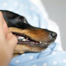 서울메이치과병원 이미지