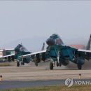 [긴급진단 ②] 북-러 군사동맹...김정은 MIG-29 추가도입 가능할까? 이미지