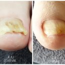 루미가넷(제주) 네이버블로그