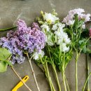 힐링 꽃꽂이 이미지