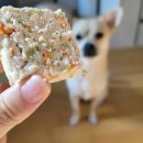 반려동물수제간식만들기 이미지