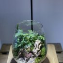 디자인열음