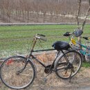 양지1리 이미지