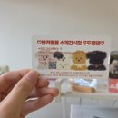 데일리 댕댕 | 양주 옥정 수제간식 두두댕댕