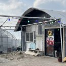 솔비 농장 이미지