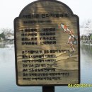 김천에서 가장 아름다운 벚꽃길 이미지