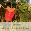 석불초등학교 이미지