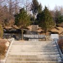 겟세마니동산 이미지