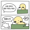 문섬횟집