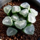 대주환경자원 이미지