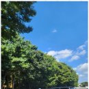 해온 행정사사무소 이미지