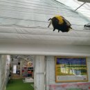 소야농장 이미지