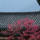 매화농업협동조합 이미지