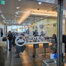 스시로운 | 오송맛집 스시로운 회전초밥 솔직후기