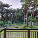 바우하우스인원주 이미지