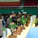 한국춘란 전시회 이미지