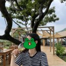 제주도 여행 먹부림 : 오는정김밥, 숙성도, 마라도횟집, 목리