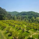 동선목장 이미지