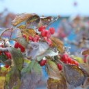 불타는촌닭 | 구례 지리산 가볼만한곳 운조루 천은사 자연드림파크