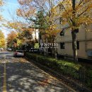 안곡로 22 이미지