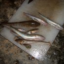 갤러리천수만 이미지