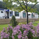 이부바바 이미지