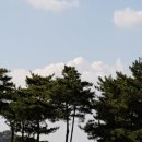 장수타이어이동빵구 이미지
