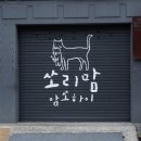 쏘리맘 이미지