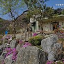 단양펜션 단양별마루캠핑장 자연 속 힐링캠핑