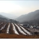 연석산농장 Daum카페