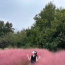 양파 노래연습장 이미지