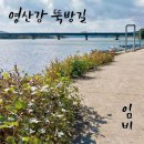 임비 - 영산강 뚝방길 이미지