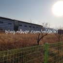 김세중스케이트보드아카데미 이미지