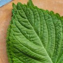 열음농장 이미지