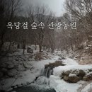 김천 옥당걸 숲속 관광농원 캠핑장:) 설중 캠핑 크리스마스 캠핑 개별화장실