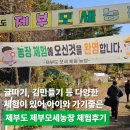 모세로 | 귤따기, 귤청만들기 등 다양한 체험이 있어 아이과 가기 좋은, 제부도 제부모세농장 체험후기(내돈내산)