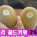 점보사 이미지
