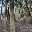 녹고뫼민박 이미지