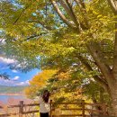 이지앤드림 이미지