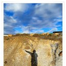 도성농장 이미지