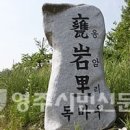 독바우 이미지
