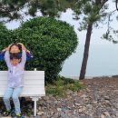 나로힐링캠핑장 이미지