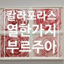 문보태양광발전소 | 251022 국제 갤러리 : 갈라 퍼라스-킴, 루이스 부르주아, 열한가지 이야기