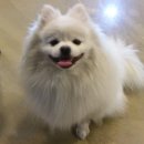 으리언니
